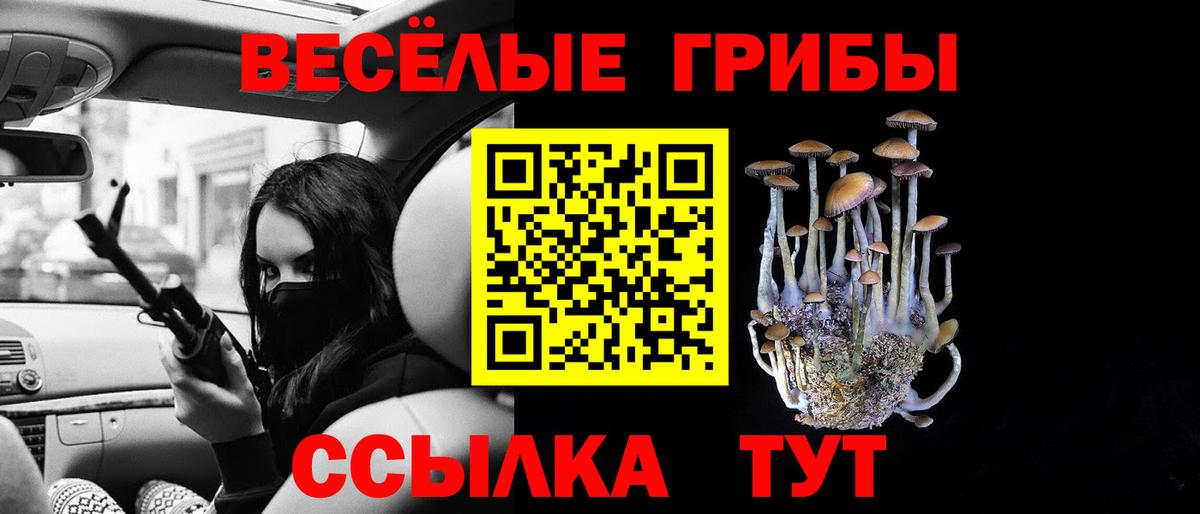 Артём  хочу наркоту  Вход с VPN  Галлюциногенные грибы Magic Shrooms 